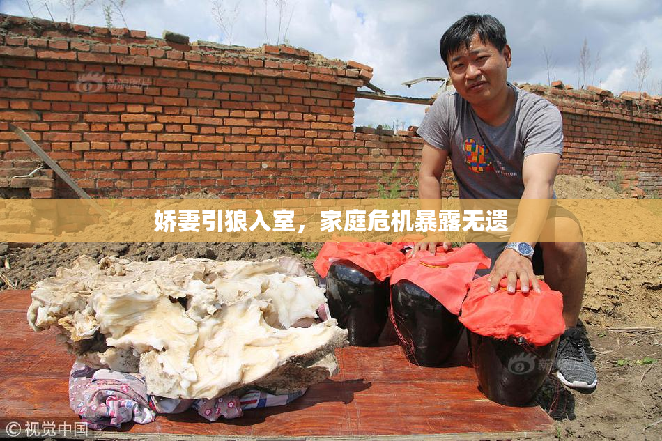 娇妻引狼入室，家庭危机暴露无遗