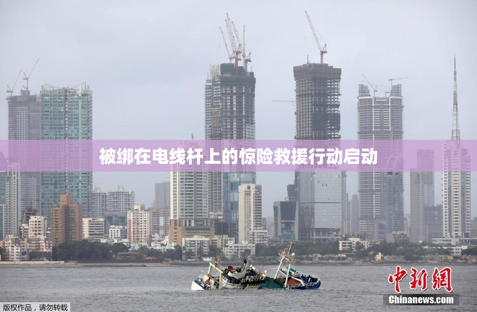 被绑在电线杆上的惊险救援行动启动