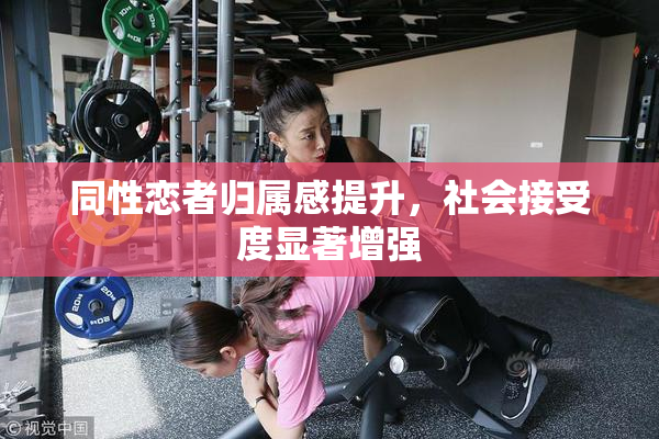 同性恋者归属感提升，社会接受度显著增强