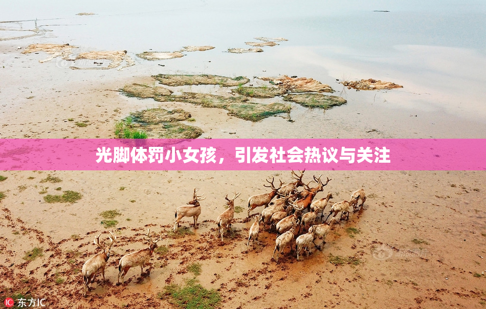 光脚体罚小女孩，引发社会热议与关注