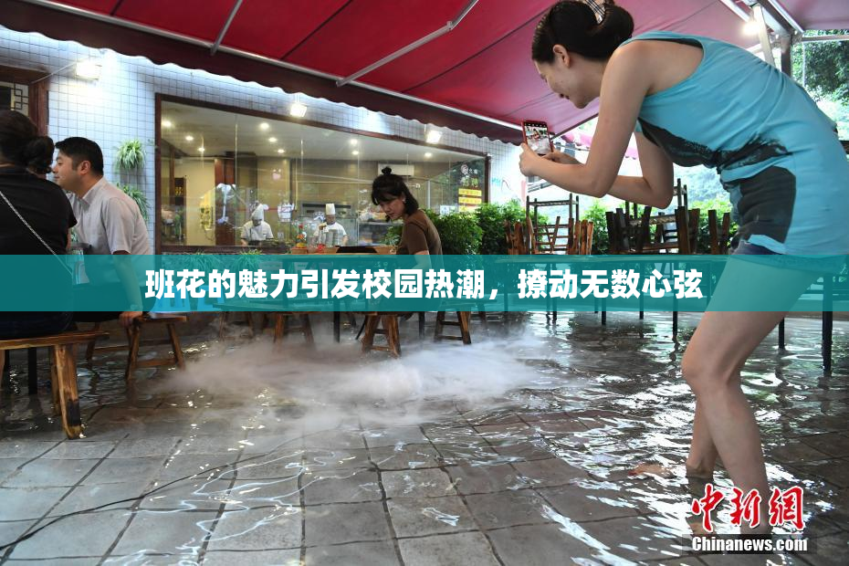 班花的魅力引发校园热潮，撩动无数心弦