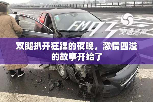 双腿扒开狂躁的夜晚，激情四溢的故事开始了