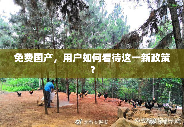免费国产，用户如何看待这一新政策？