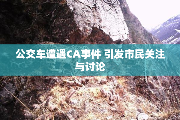 公交车遭遇CA事件 引发市民关注与讨论