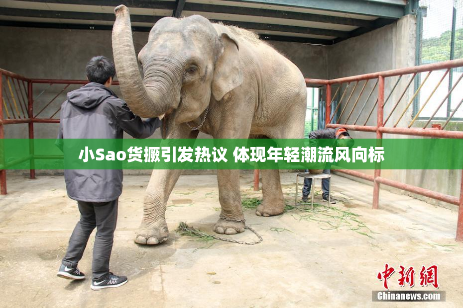 小Sao货撅引发热议 体现年轻潮流风向标