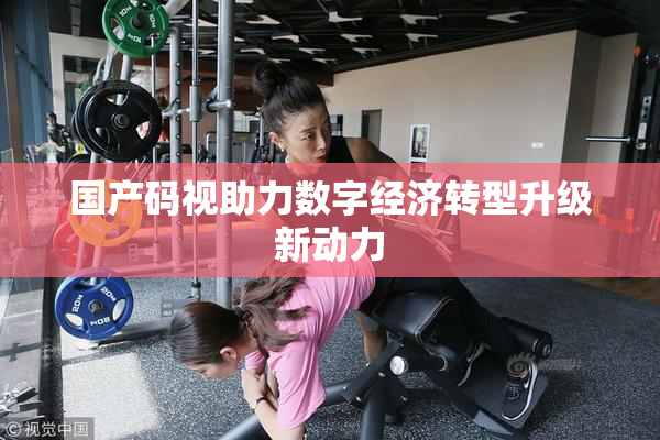 国产码视助力数字经济转型升级新动力