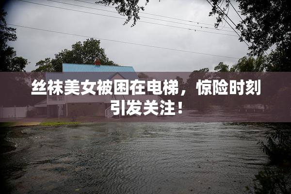 丝袜美女被困在电梯，惊险时刻引发关注！