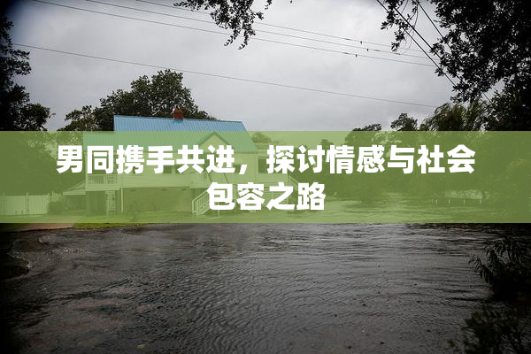 男同携手共进，探讨情感与社会包容之路