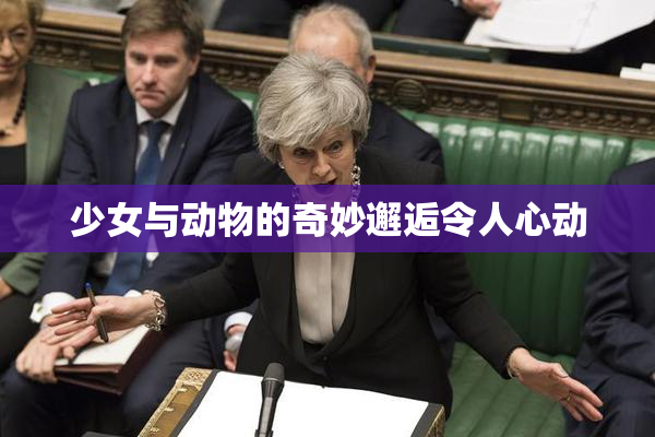 少女与动物的奇妙邂逅令人心动