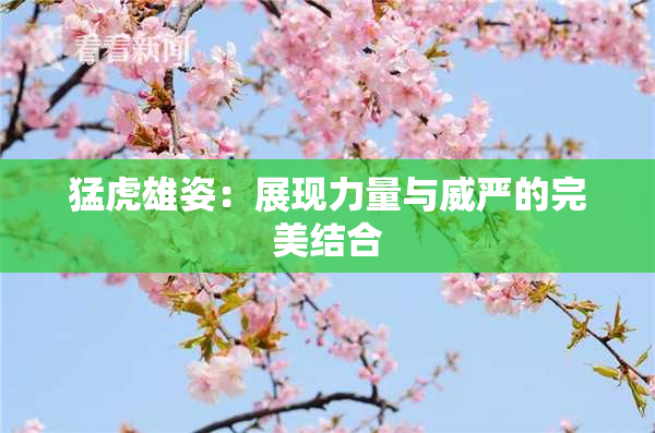 猛虎雄姿：展现力量与威严的完美结合
