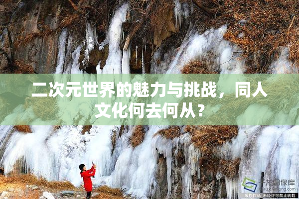 二次元世界的魅力与挑战，同人文化何去何从？