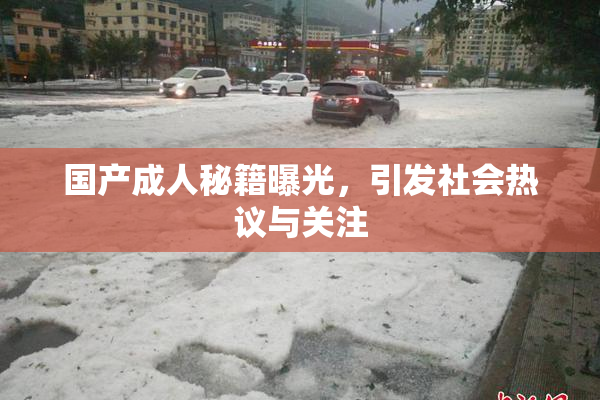 国产成人秘籍曝光，引发社会热议与关注