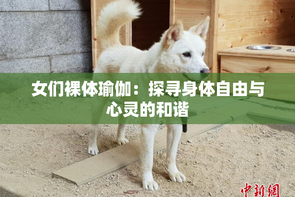 女们裸体瑜伽：探寻身体自由与心灵的和谐