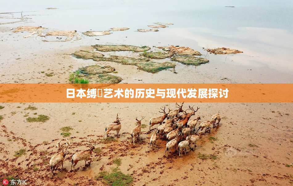 日本缚縄艺术的历史与现代发展探讨