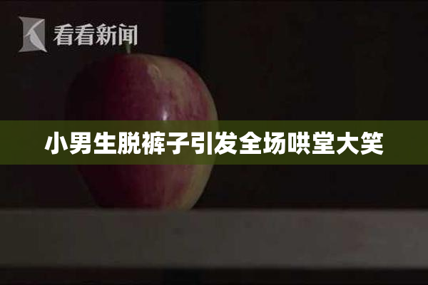 小男生脱裤子引发全场哄堂大笑