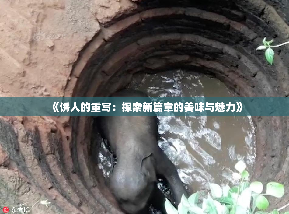 《诱人的重写：探索新篇章的美味与魅力》