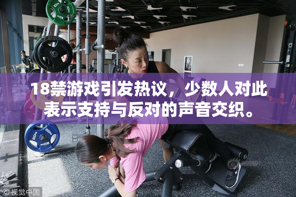 18禁游戏引发热议，少数人对此表示支持与反对的声音交织。