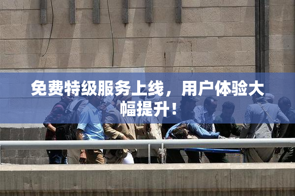 免费特级服务上线，用户体验大幅提升！