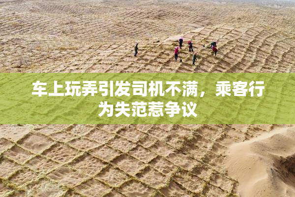 车上玩弄引发司机不满，乘客行为失范惹争议