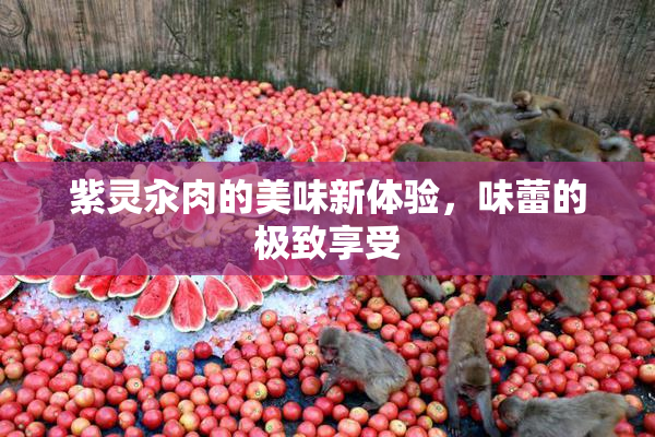 紫灵汆肉的美味新体验，味蕾的极致享受