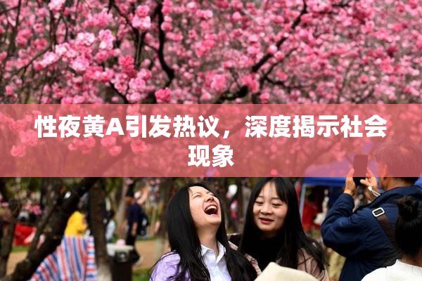 性夜黄A引发热议，深度揭示社会现象