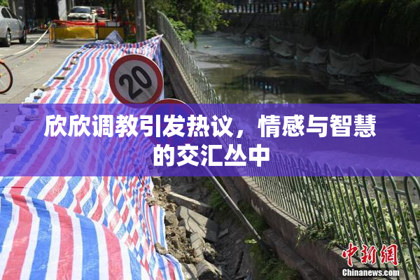 欣欣调教引发热议，情感与智慧的交汇丛中