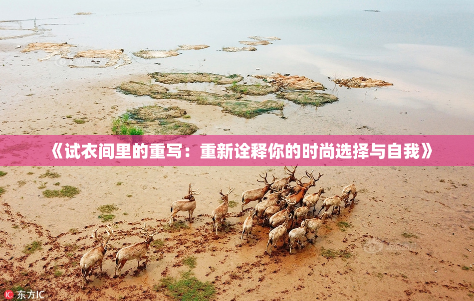 《试衣间里的重写：重新诠释你的时尚选择与自我》