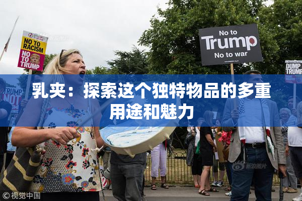 乳夹：探索这个独特物品的多重用途和魅力