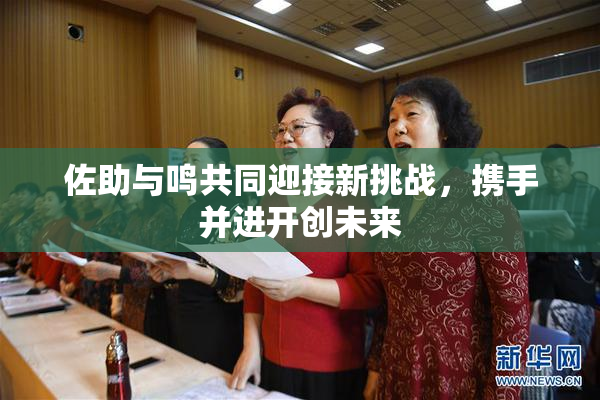 佐助与鸣共同迎接新挑战，携手并进开创未来