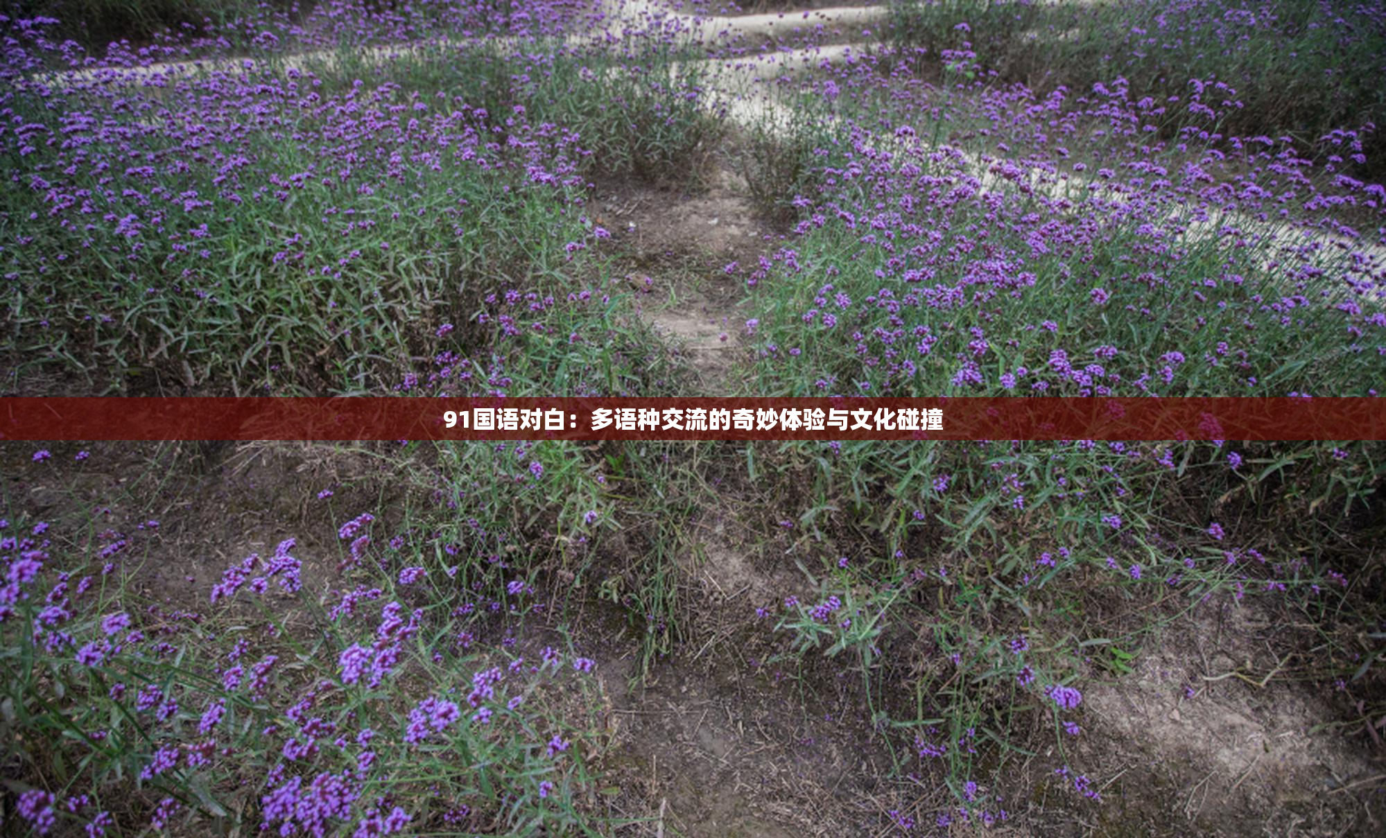 91国语对白：多语种交流的奇妙体验与文化碰撞