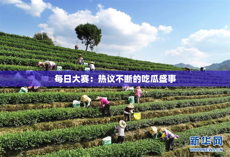 每日大赛：热议不断的吃瓜盛事