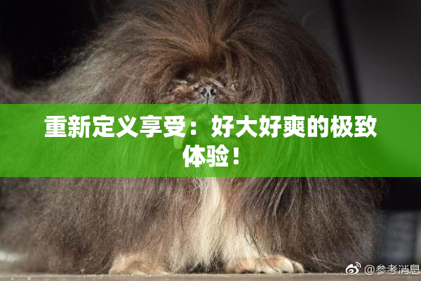 重新定义享受：好大好爽的极致体验！