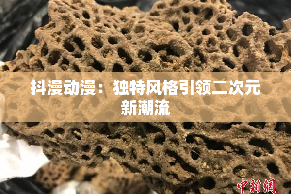 抖漫动漫：独特风格引领二次元新潮流