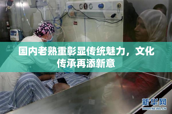 国内老熟重彰显传统魅力，文化传承再添新意