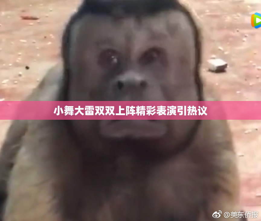 小舞大雷双双上阵精彩表演引热议