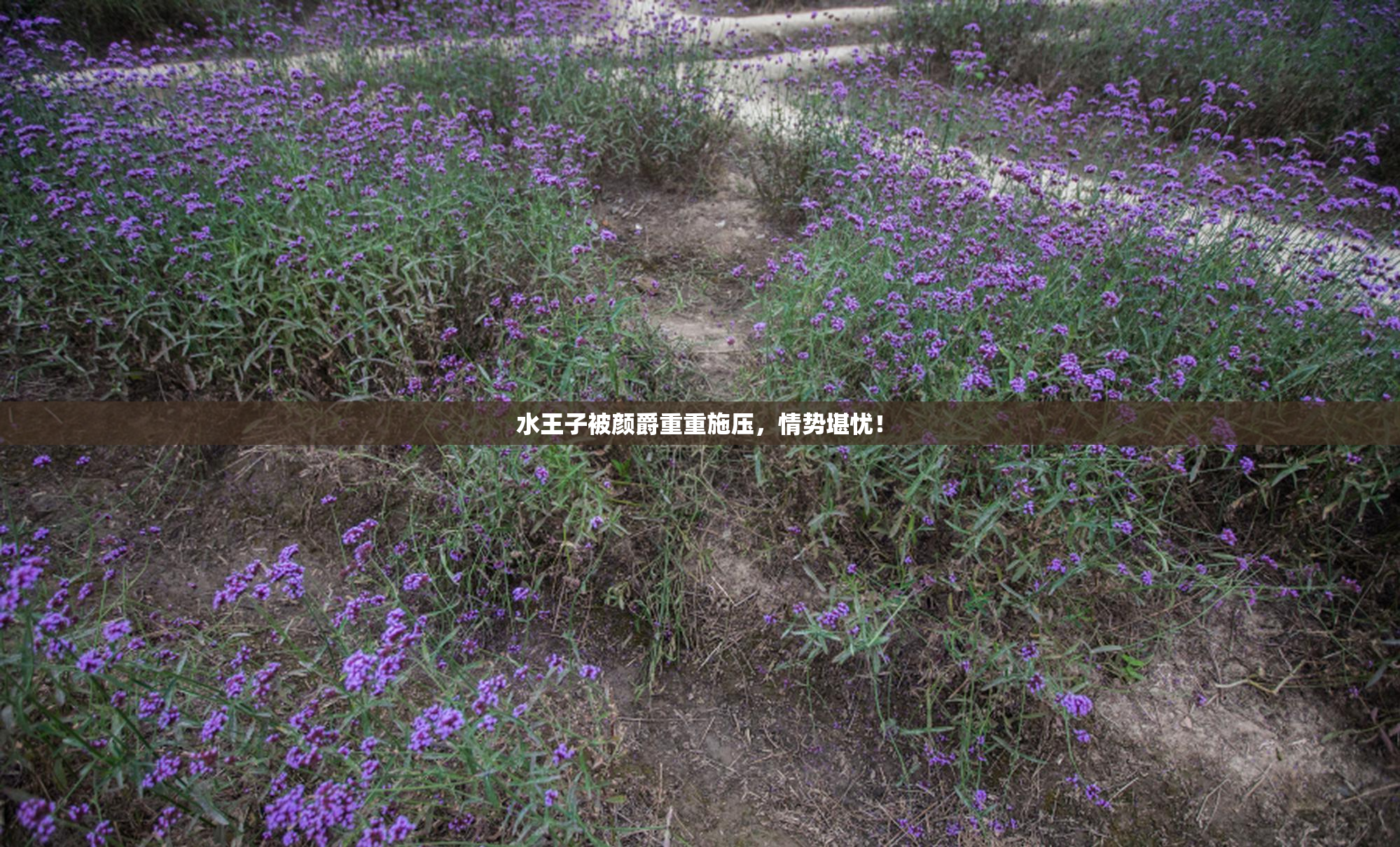 水王子被颜爵重重施压，情势堪忧！