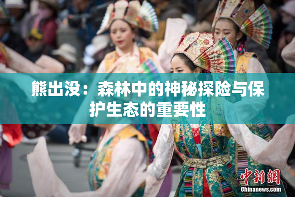 熊出没：森林中的神秘探险与保护生态的重要性