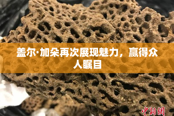 盖尔·加朵再次展现魅力，赢得众人瞩目