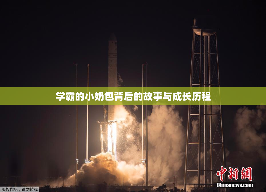 学霸的小奶包背后的故事与成长历程