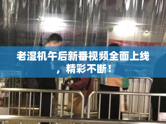 老湿机午后新番视频全面上线，精彩不断！
