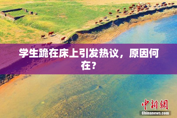 学生跪在床上引发热议，原因何在？