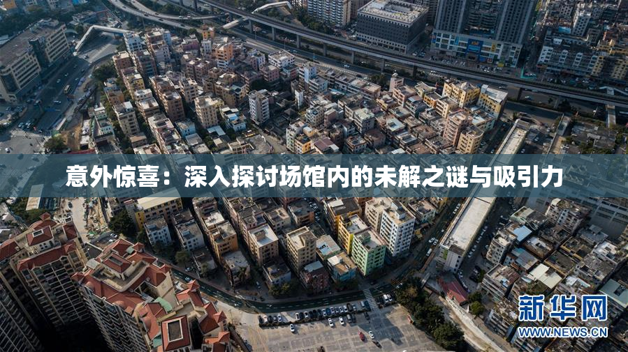 意外惊喜：深入探讨场馆内的未解之谜与吸引力