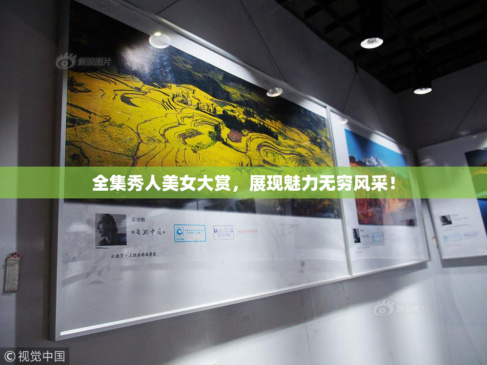 全集秀人美女大赏，展现魅力无穷风采！