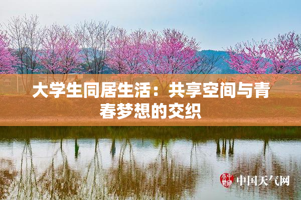 大学生同居生活：共享空间与青春梦想的交织