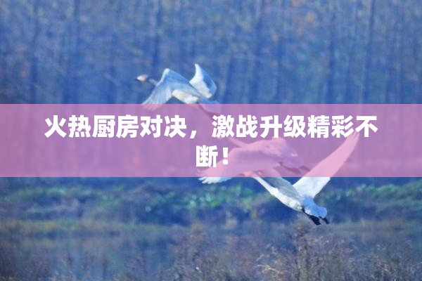 火热厨房对决，激战升级精彩不断！