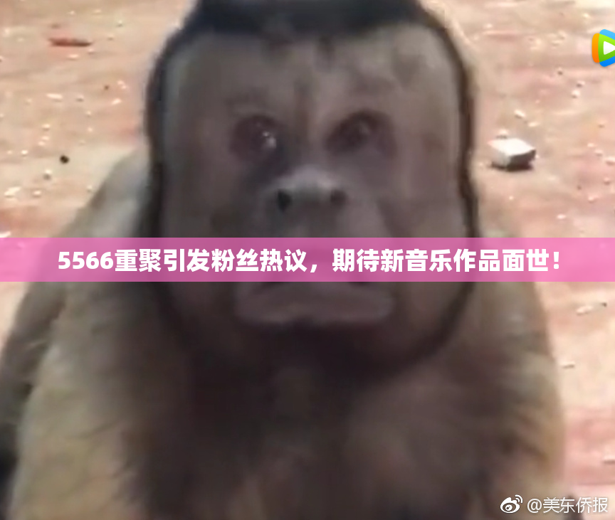 5566重聚引发粉丝热议，期待新音乐作品面世！