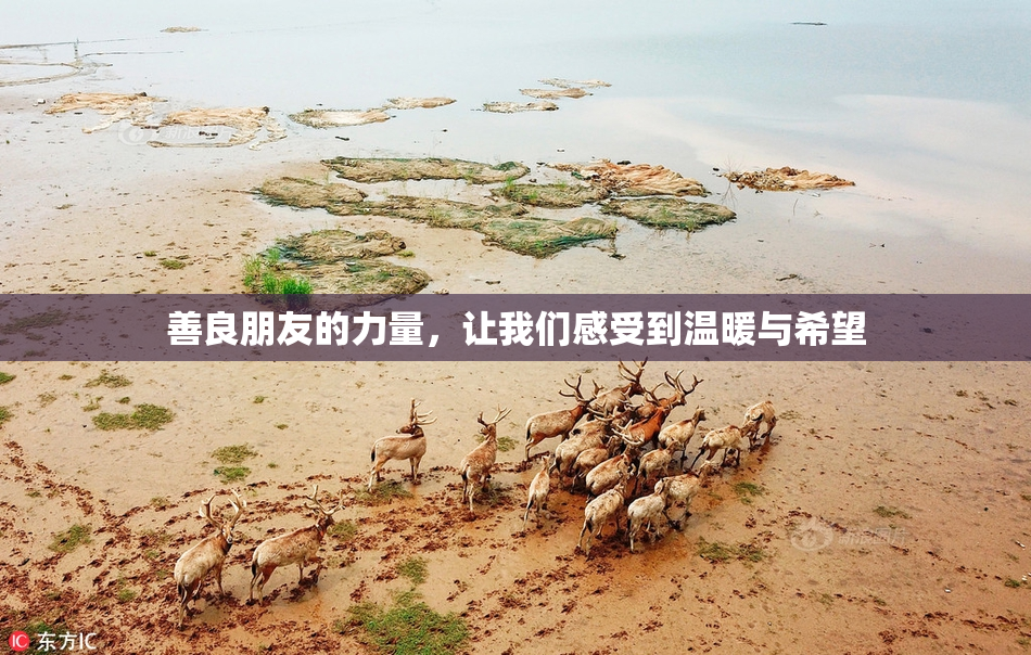 善良朋友的力量，让我们感受到温暖与希望
