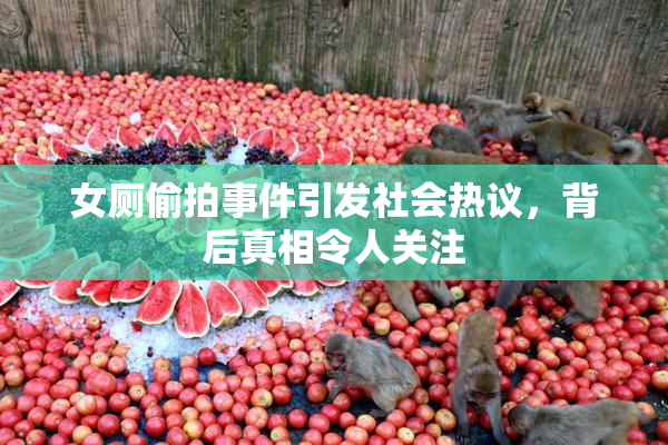 女厕偷拍事件引发社会热议，背后真相令人关注