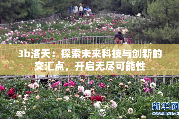 3b洛天：探索未来科技与创新的交汇点，开启无尽可能性
