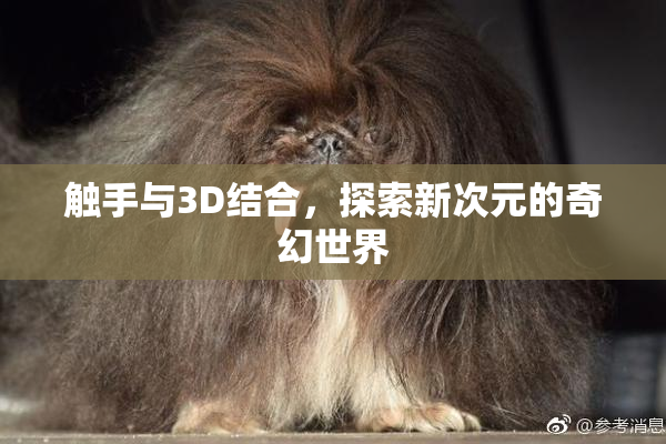 触手与3D结合，探索新次元的奇幻世界